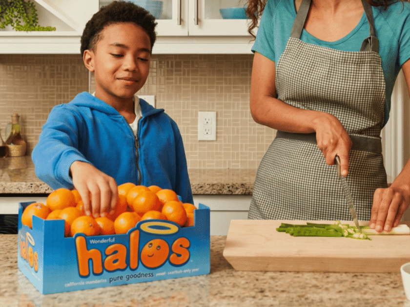 Halo’s Summer Giveaway!