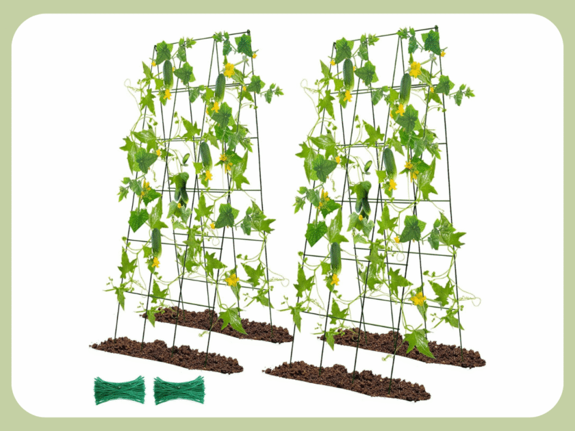 Cucumber Trellis 2-Pack 48″ x 18″ Just $40.xx on Amazon (Reg $51)
