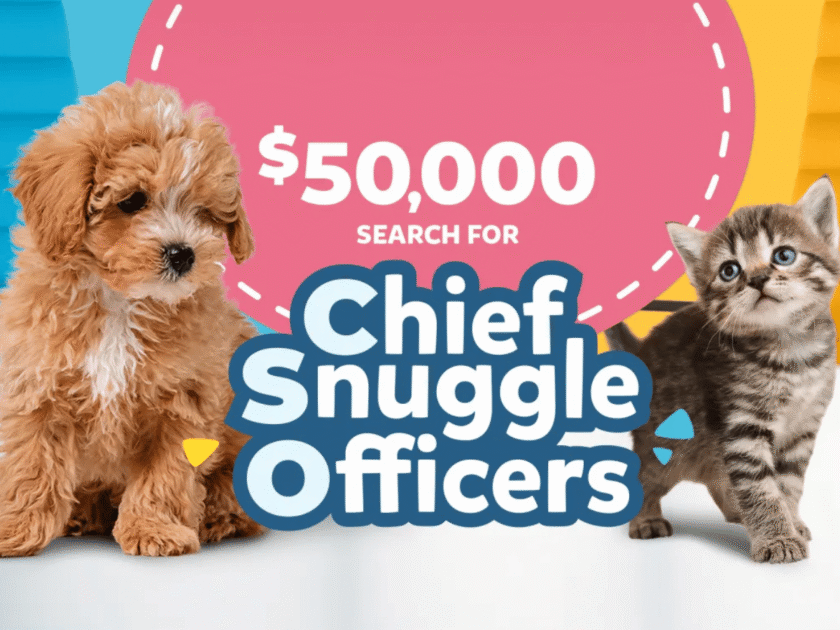 Purina is Looking for their Chief Snuggle Officers! Score $25K!