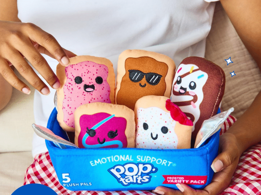 ADORABLE Emotional Support Pop-Tarts Only $10.xx on Amazon (Reg $17)
