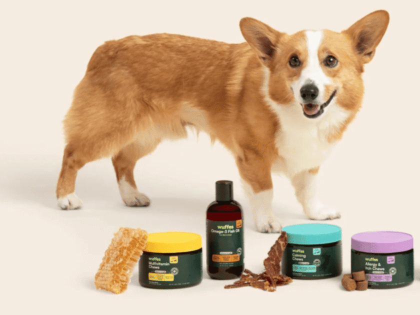 Join the Wuffes Insider Program: & Score Free Full-Size Supplements for Your Best Friend!