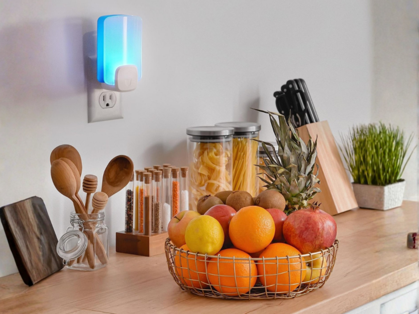 Raid Essentials Flying Insect Light Trap Refills Only $4.xx on Amazon (Reg $8)