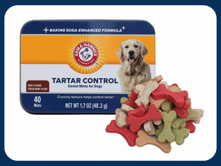 Arm & Hammer Dental Dog Mints Only $3.xx on Amazon (Reg. $6)