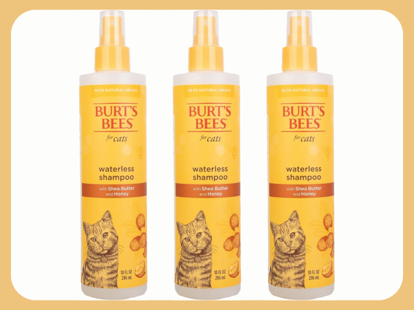 Burt’s Bees for Pets Waterless Cat Shampoo Spray Only $3.xx on Amazon (Reg $10)