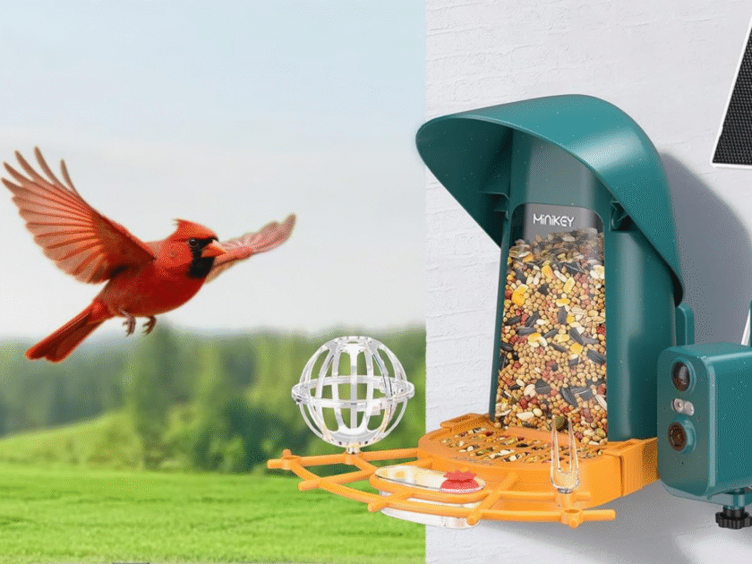 Minikey Smart Bird Feeder with Camera Only $35.xx on Amazon (Reg. $80)