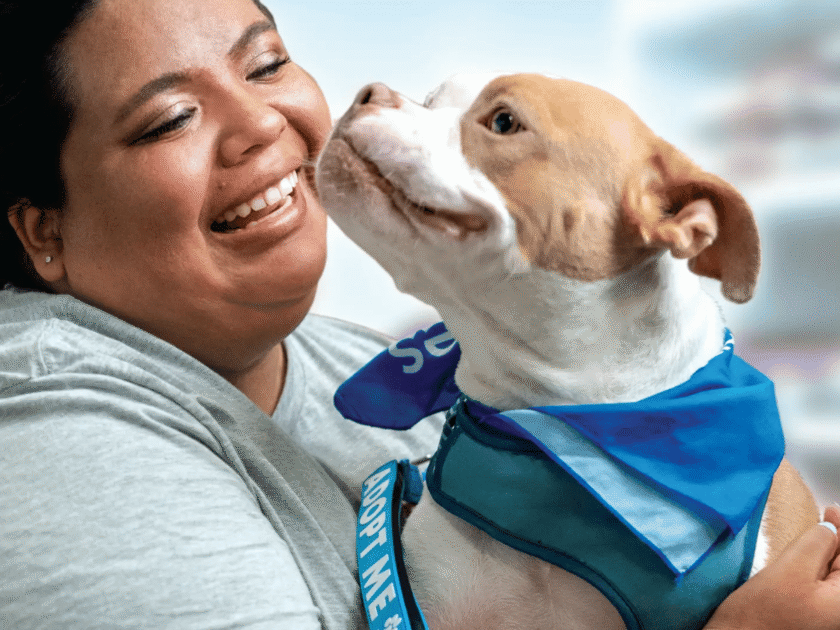 It’s National Adoption Week at PetSmart! Find Your Next Best Friend!