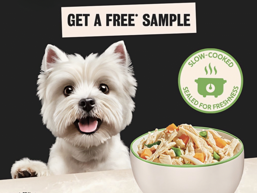 Free Samples of Cesar Dog Food! RUNNNNN!!