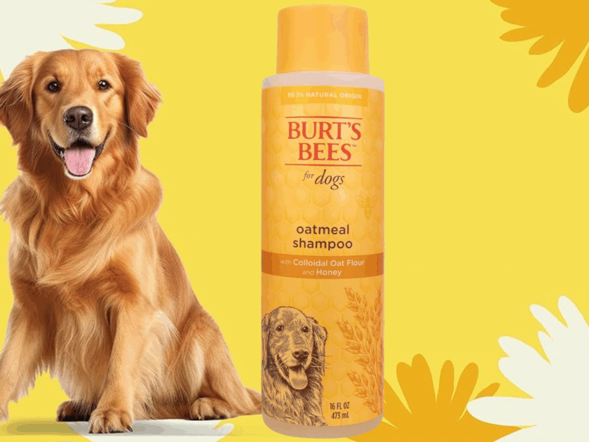 Burt’s Bees Oatmeal Dog Shampoo Only $4.xx on Amazon (Reg. $8)