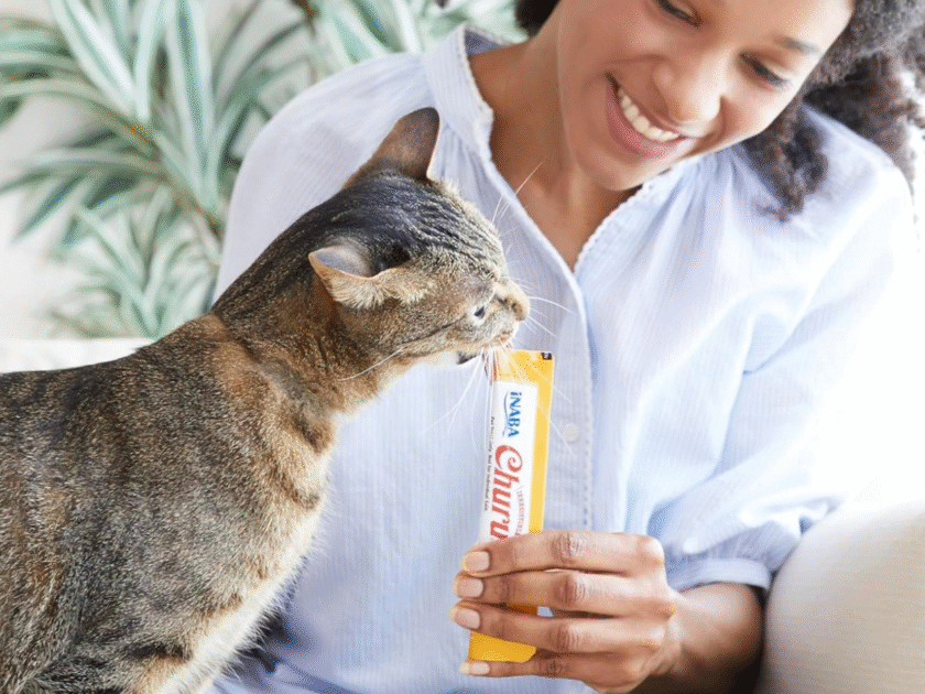 INABA Churu Lickable Cat Treats 50-Count Tubes