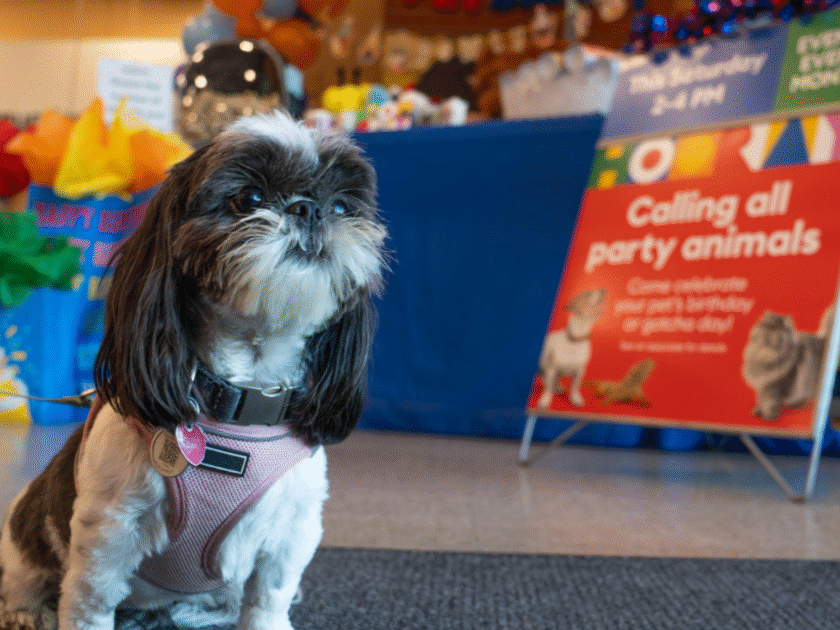 PetSmart’s Birthday + Gotcha Bash on August 1st, 2026