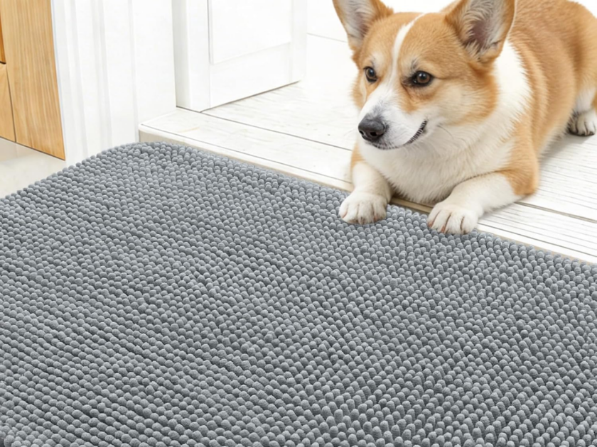 Washable Door Mats just $4.xx on Amazon (Reg. $10) – Absorbs Dirt & Water from Shoes & Paws!