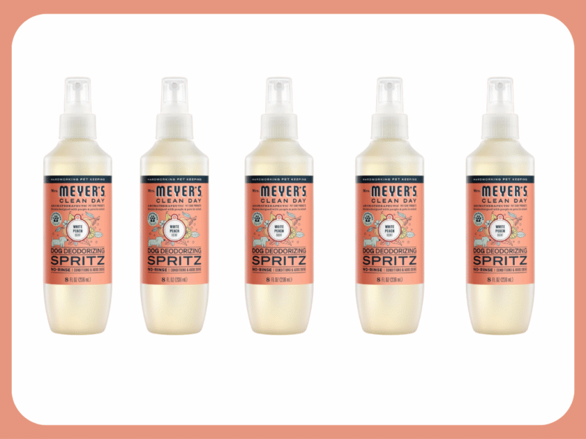Mrs. Meyer’s Clean Day Dog Deodorizing Spray Only $3.xx on Amazon (Reg $8)