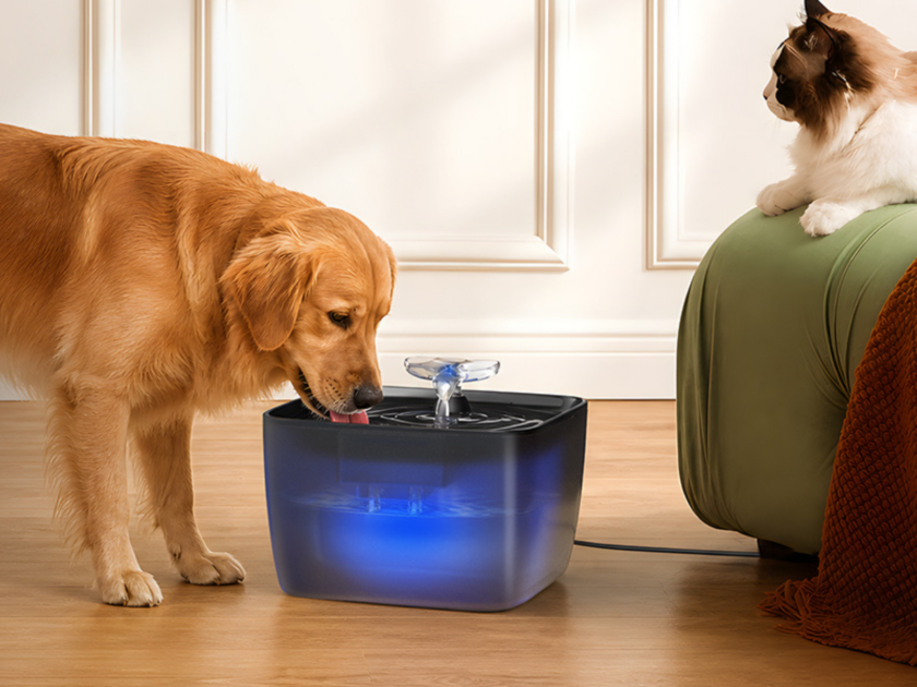 Automatic Pet Water Fountain Only $18.xx on Amazon (Reg. $40)