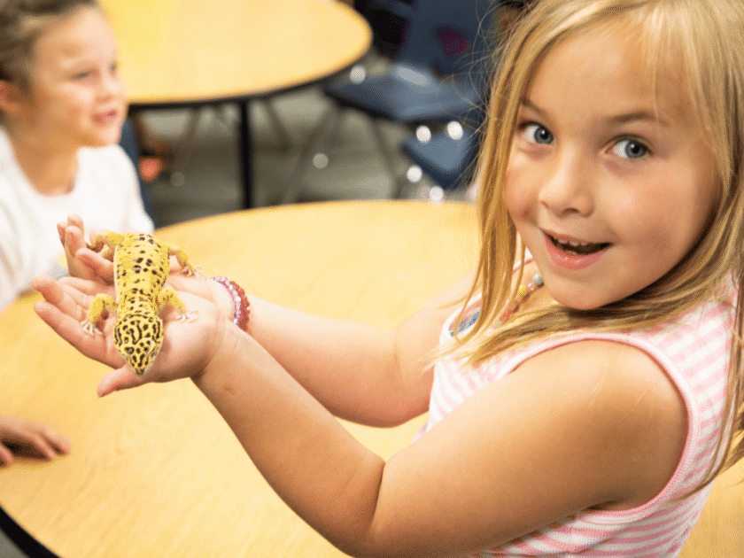 Teachers – Apply for The Pets in the Classroom Grant Program