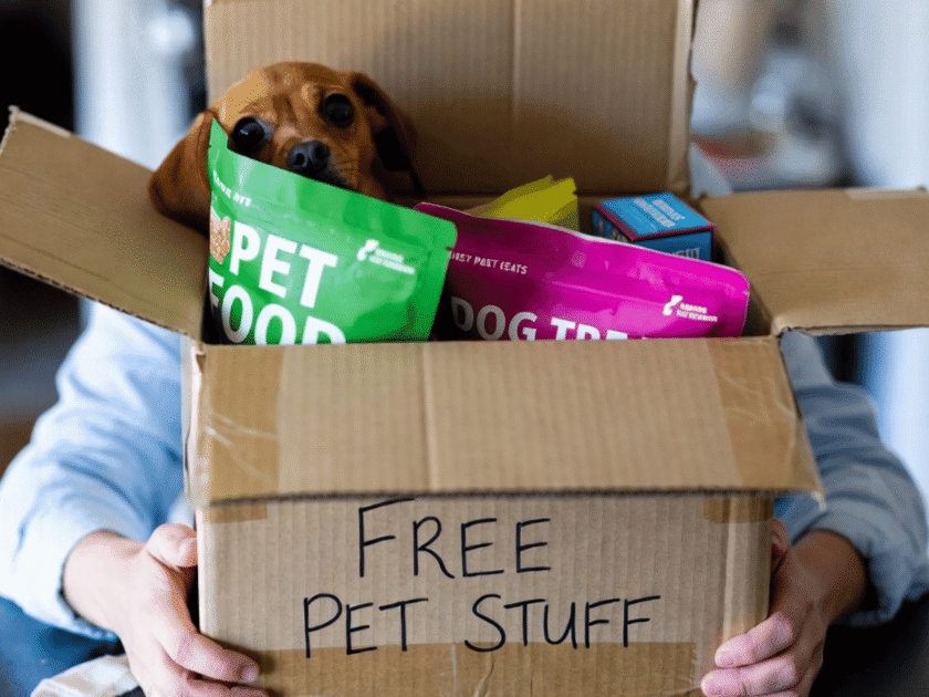 Possible Free Pet Products with FurBuddies