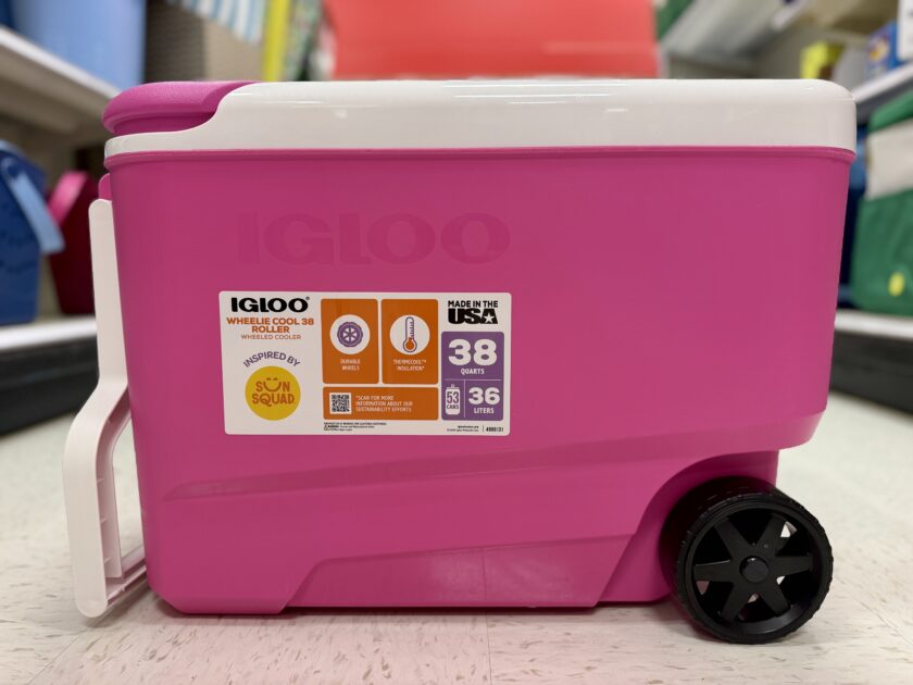 Score Coolers for as Low as $3 at Target + The Viral Pink Fizz Igloo Is On Sale!