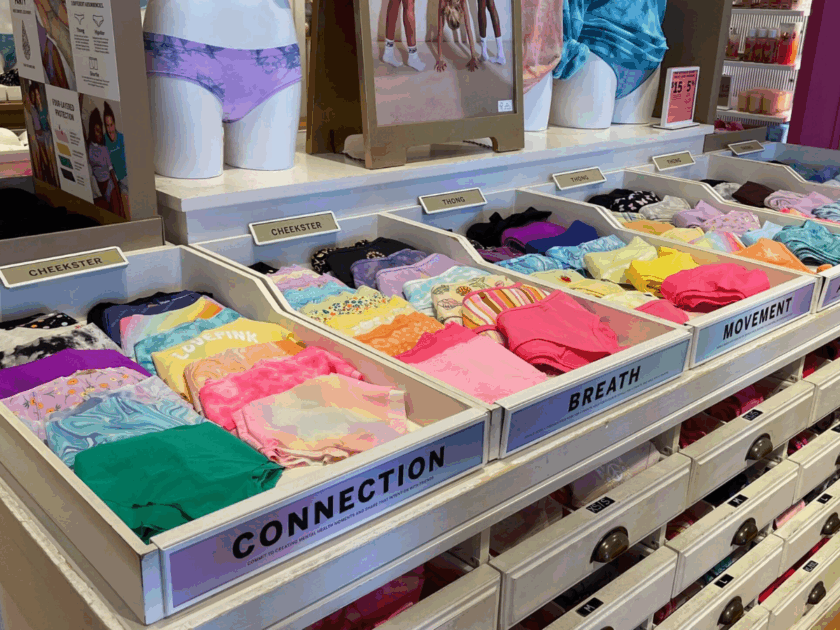 Victoria’s Secret & PINK Panties Only $2.xx Each WYB 4 + Free Shipping!