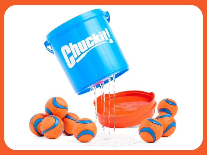Up to 85% Off ChuckIt Dog Toys at Walmart | ChuckIt Bucket Just $5.11 (Reg. $32)