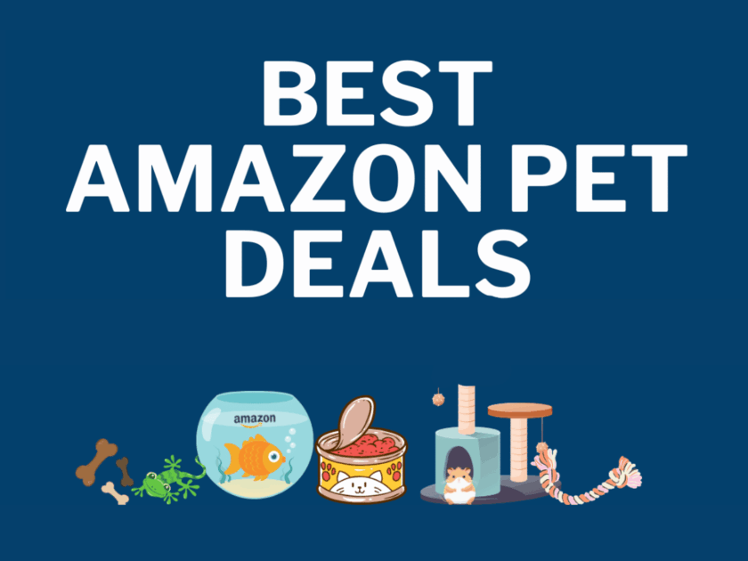 Best Amazon Pet Deals – Save on Food, Treats, Toys, & More!